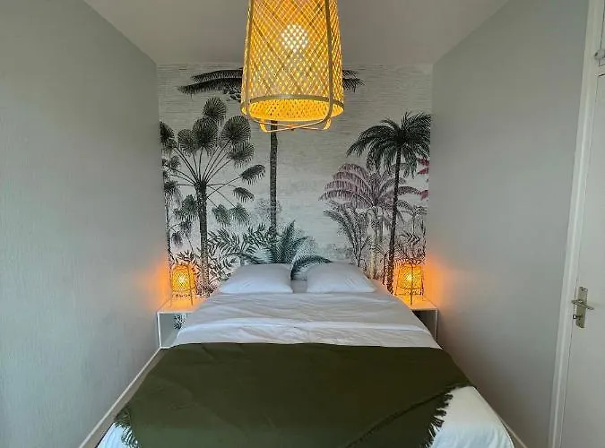 Apartament Hyper Centre : Ancien Renove / Confort